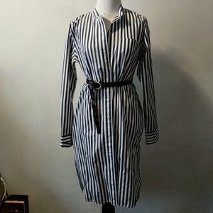 Blue and white striped shirt dress from Everlane